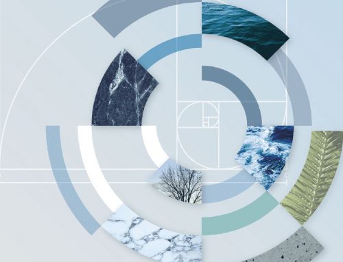 SOFT – The store of Future Things