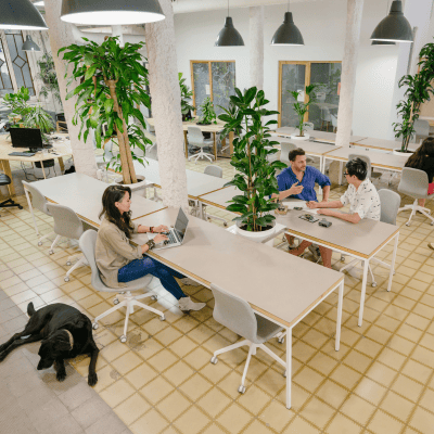 MOB Coworking Bailèn